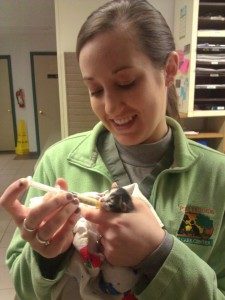 Nutritional Counseling