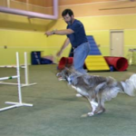 Screen-Shot-2014-03-05-at-6.57.23-PM