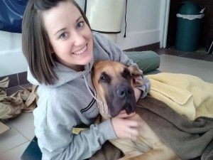 Pet Insurance