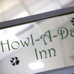 howl a day inn