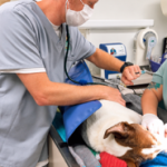 Anesthesia & Monitoring
