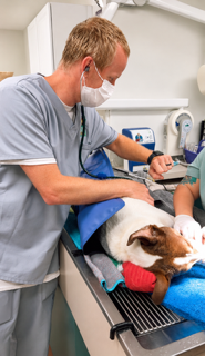 Anesthesia Patient Monitoring
