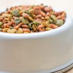 nutrition-1-496×331